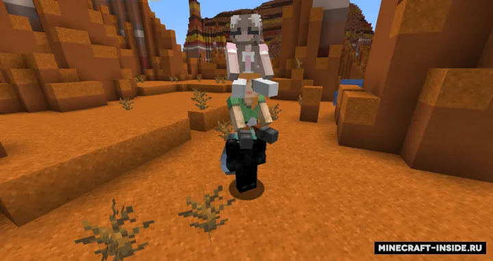 Player Ladder — Minecraft mod, rasm 2