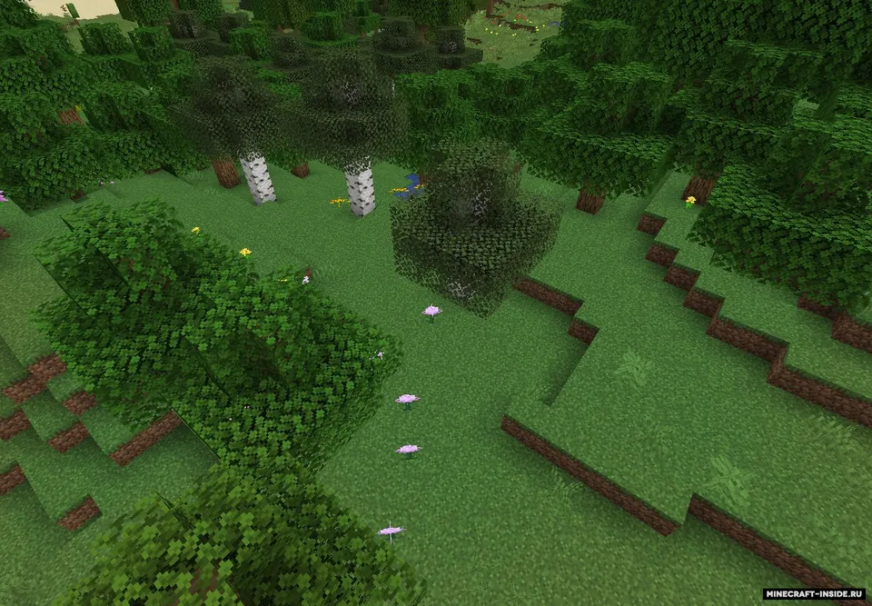 Wilder Wilds — Minecraft mod, rasm 4
