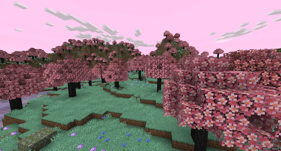 Pink — Minecraft mod, rasm 3