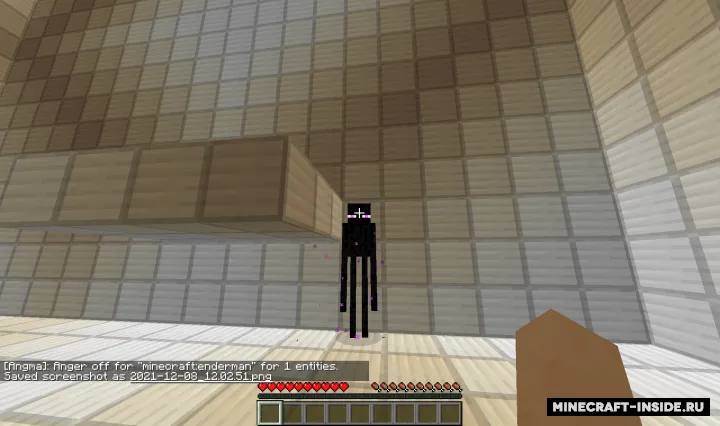 TheGates' Anger Management — Minecraft mod, rasm 2