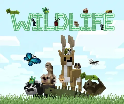 Chirpy's Wildlife