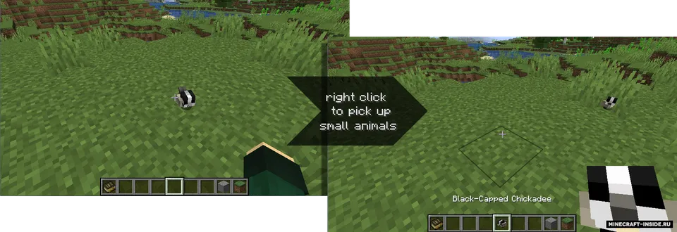 Chirpy's Wildlife — Minecraft mod, rasm 2