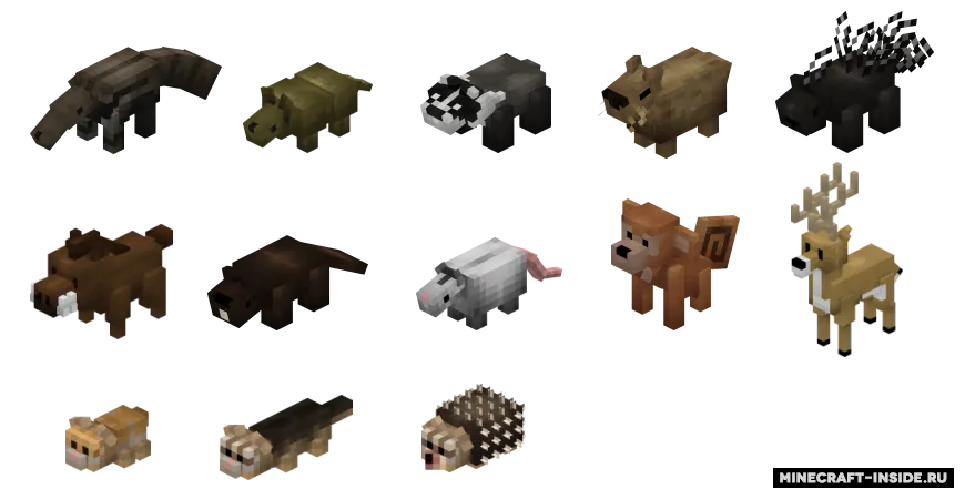 Chirpy's Wildlife — Minecraft mod, rasm 3