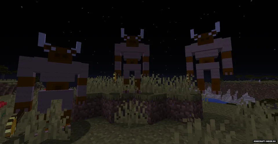 Fire N' Blood — Minecraft mod, rasm 5