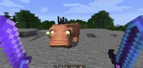 Spoorn Dual Wield