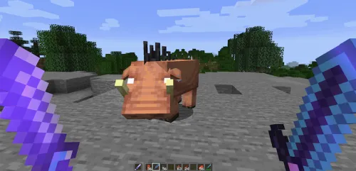 Spoorn Dual Wield — Minecraft mod, rasm 1
