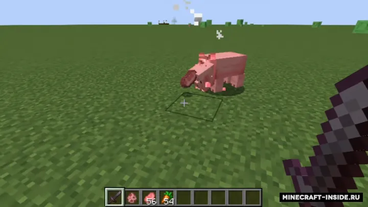 HungryPigs — Minecraft mod, rasm 2