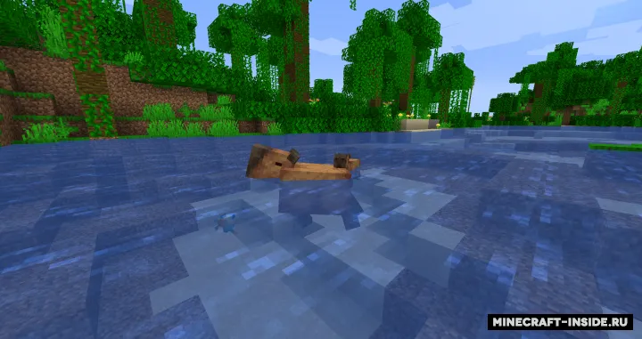 Capybara — Minecraft mod, rasm 2