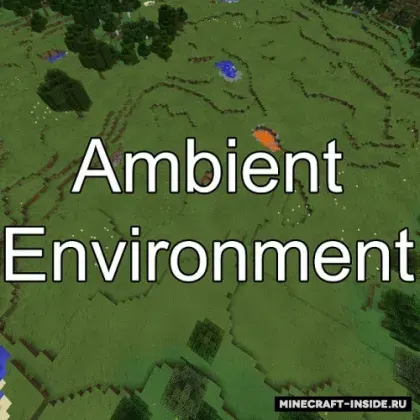 Ambient Environment