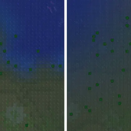 Better Biome Blend