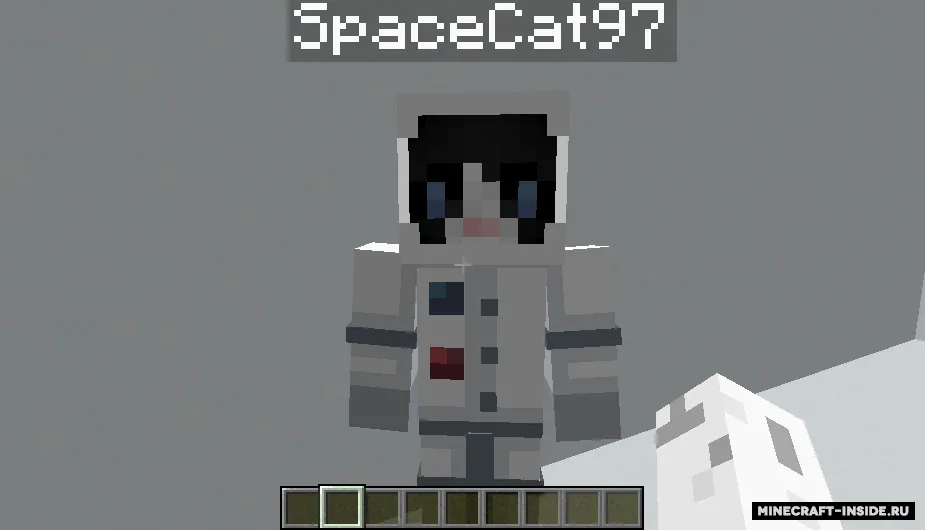 Custom Villager Skins — Minecraft mod, rasm 2