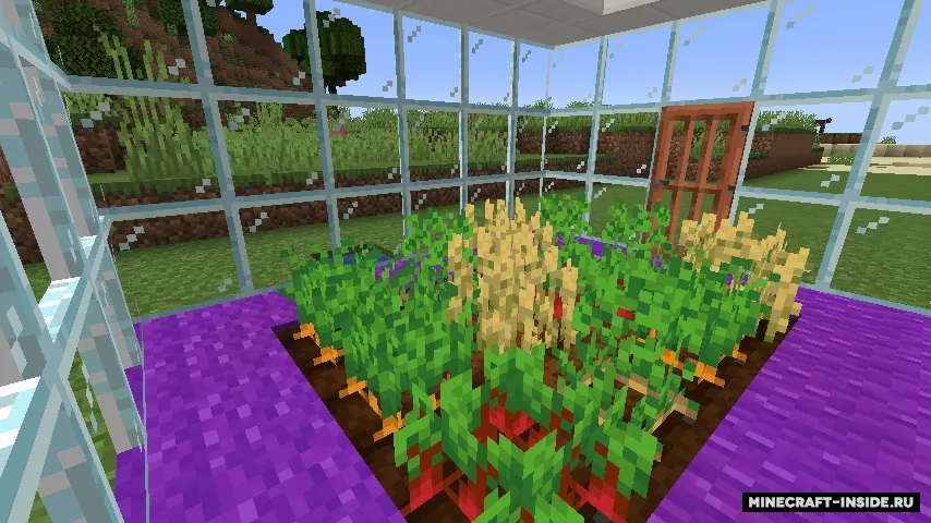 Pane In The Glass — Minecraft mod, rasm 2