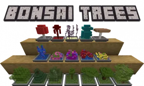 Bonsai Trees