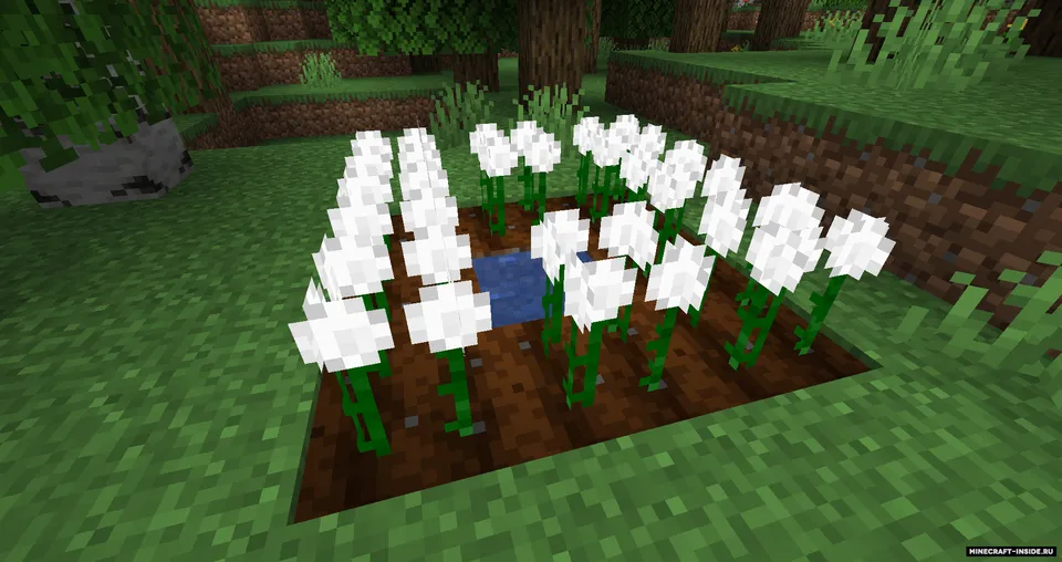 Cottonly — Minecraft mod, rasm 2
