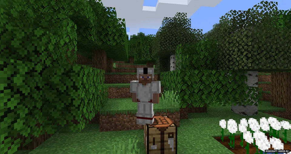 Cottonly — Minecraft mod, rasm 3