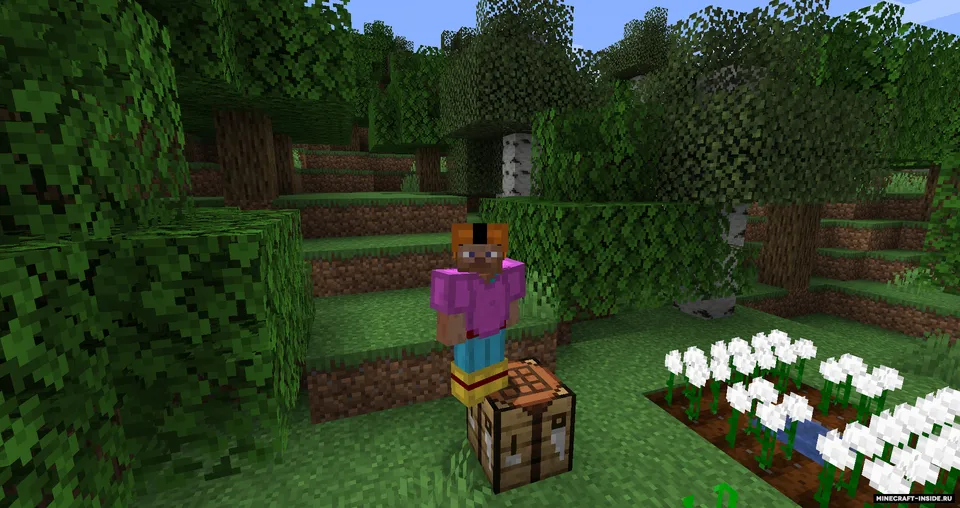 Cottonly — Minecraft mod, rasm 4
