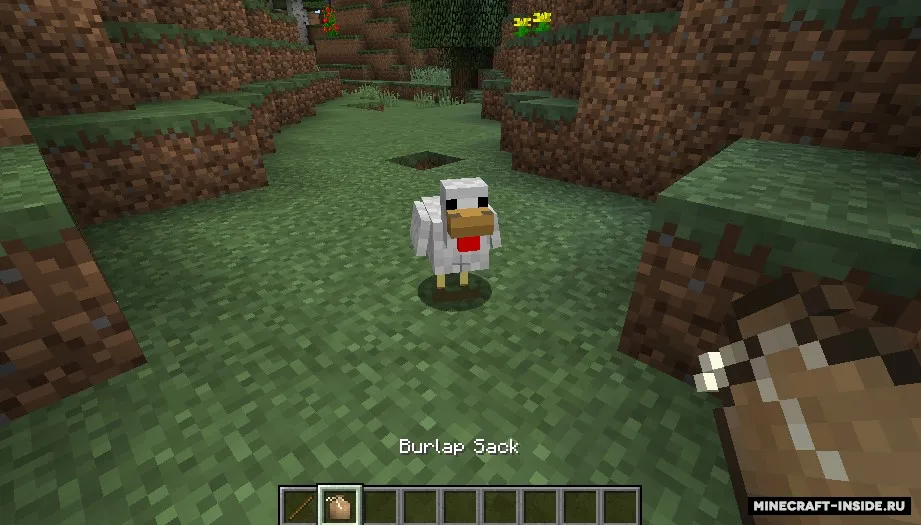 Burlap Sack — Minecraft mod, rasm 2