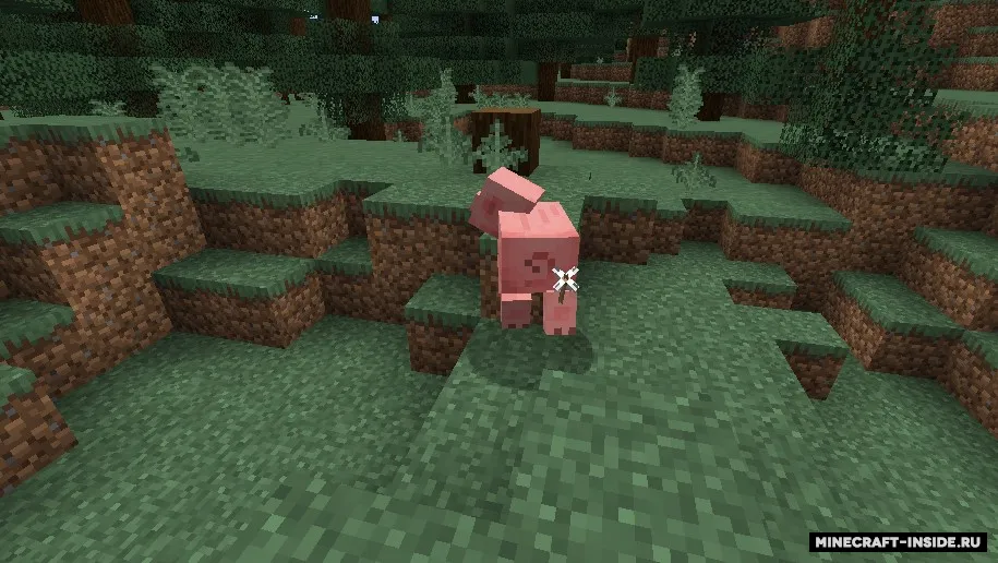 Pierce Arrow — Minecraft mod, rasm 2