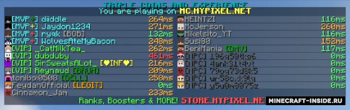 PingList — Minecraft mod, rasm 2