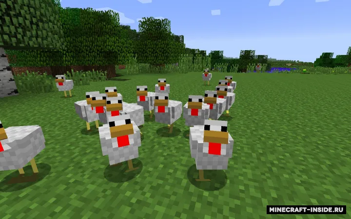 Aggressive Chickens — Minecraft mod, rasm 2