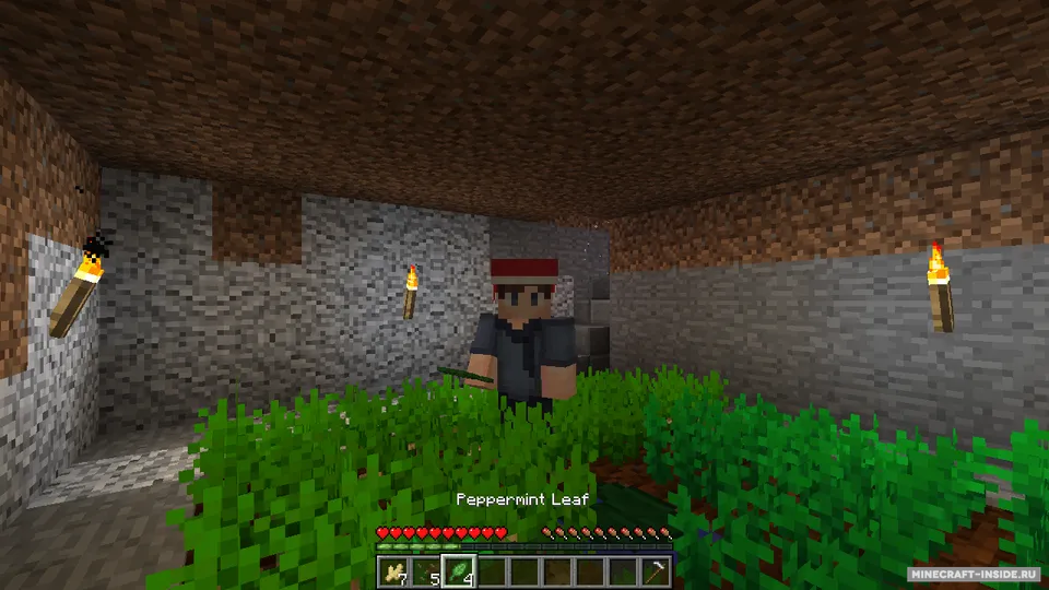 Joshua's Christmas — Minecraft mod, rasm 3
