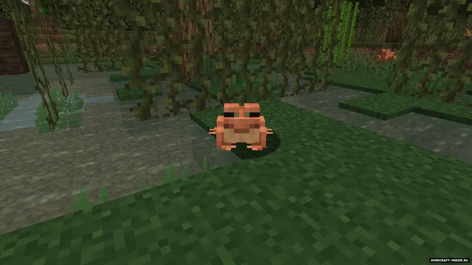 Minecraft 1.19 The Wild Update — Minecraft mod, rasm 3
