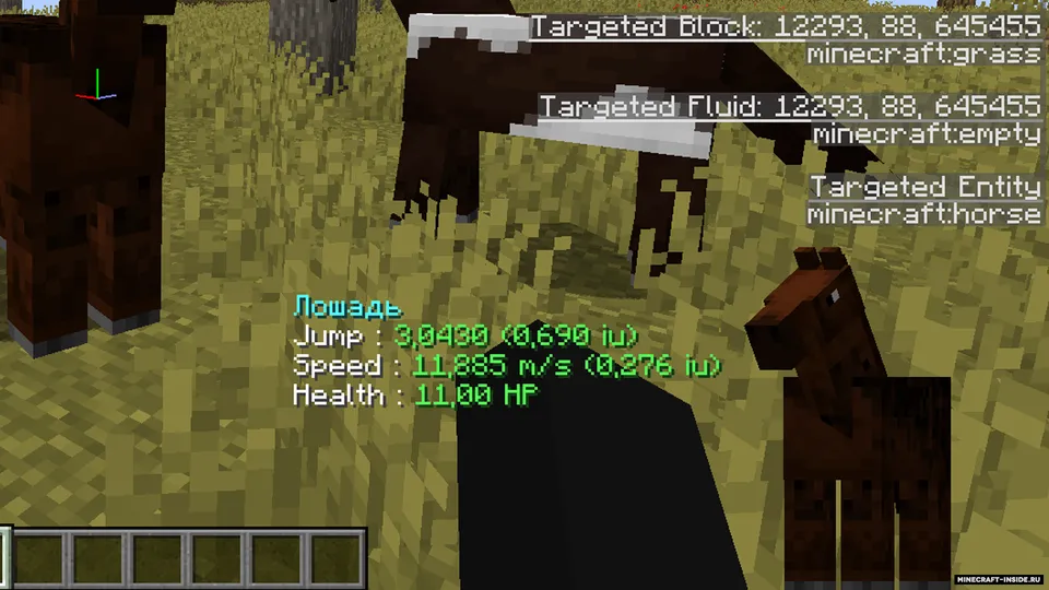 Horse Debug Info — Minecraft mod, rasm 2