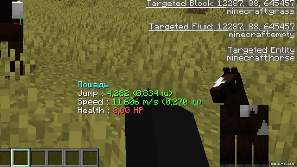 Horse Debug Info — Minecraft mod, rasm 3