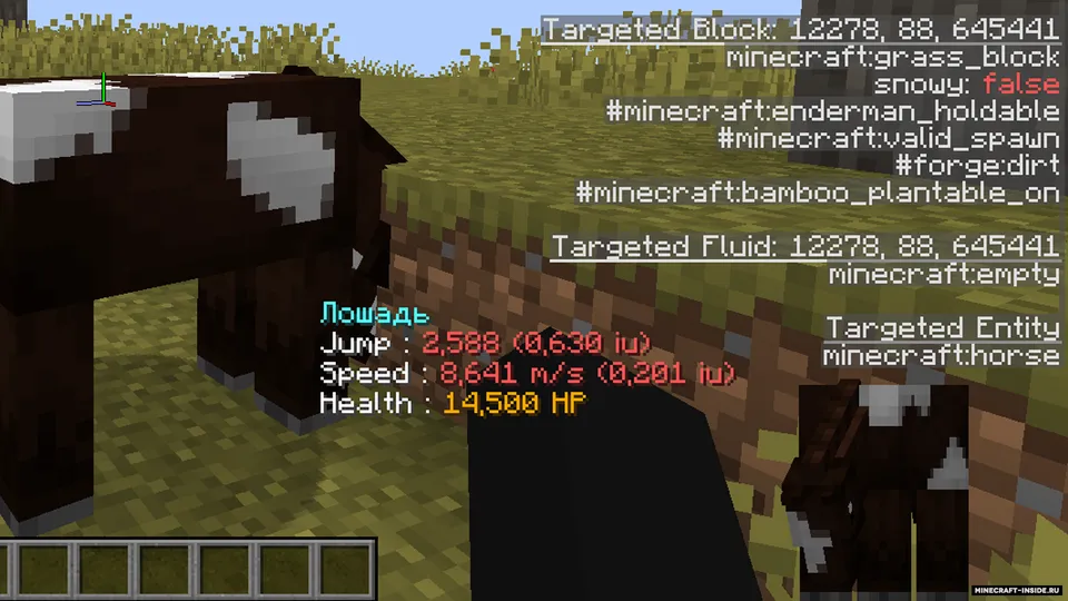 Horse Debug Info — Minecraft mod, rasm 4