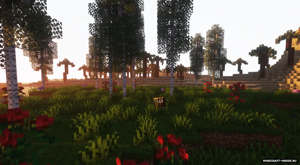 Biomes far away! — Minecraft mod, rasm 4