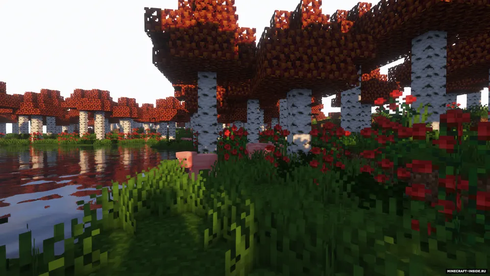 Biomes far away! — Minecraft mod, rasm 6