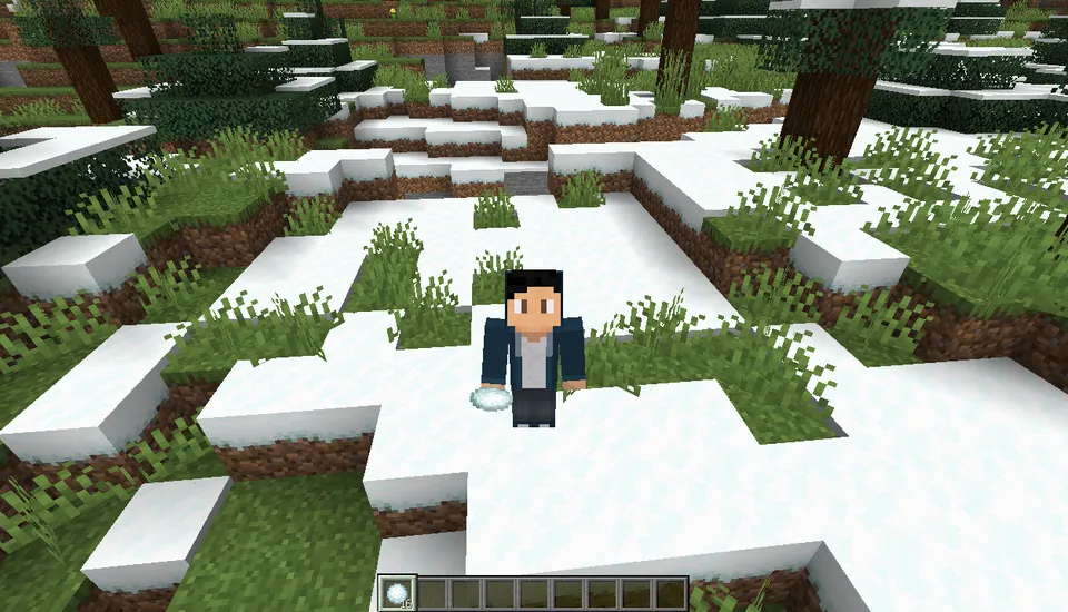 Snowballs Deluxe — Minecraft mod, rasm 2