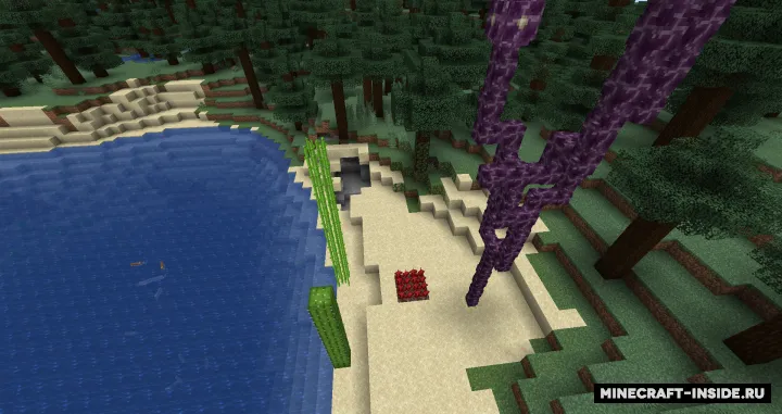 Complete Bone Meal — Minecraft mod, rasm 2