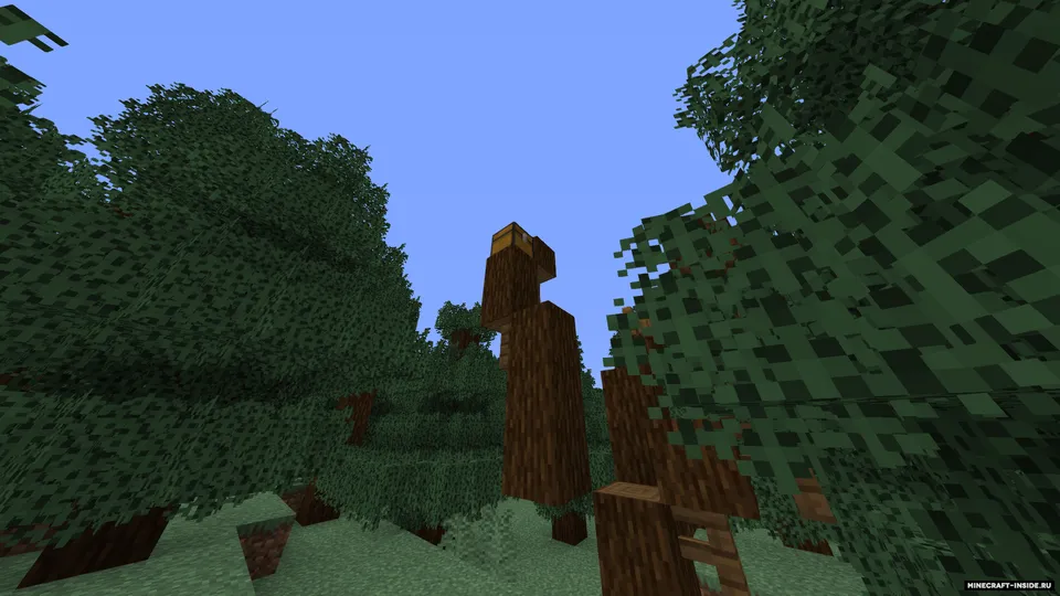 Features — Minecraft mod, rasm 5