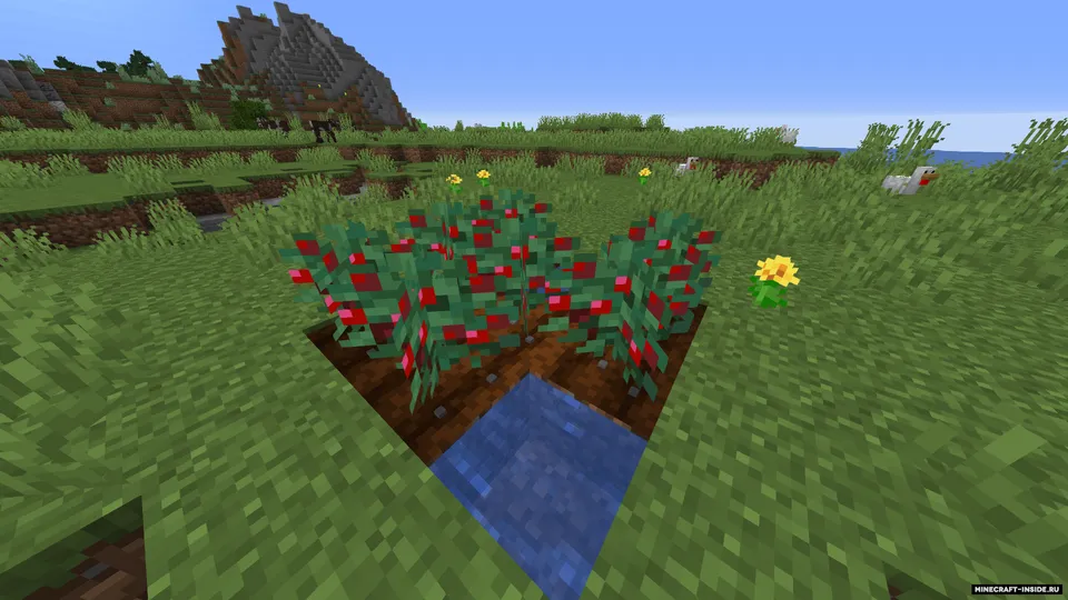 Features — Minecraft mod, rasm 7