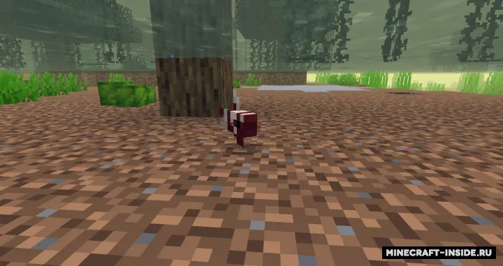 Bettas — Minecraft mod, rasm 2