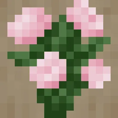 More Ornamental Plants