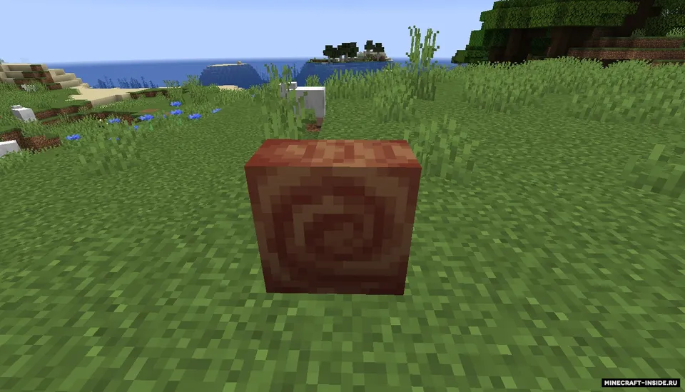 Snail Mail — Minecraft mod, rasm 2