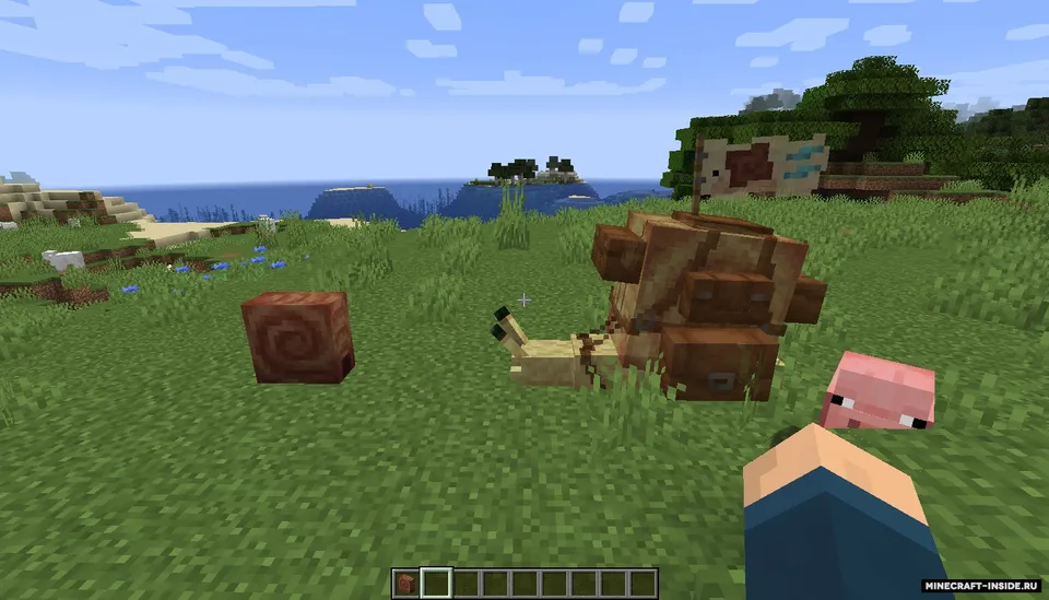 Snail Mail — Minecraft mod, rasm 6