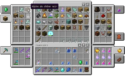Corail Backpack — Minecraft mod, rasm 1