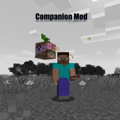 Companion