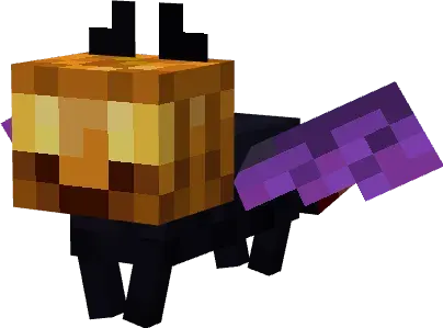 Pumpkin Cat