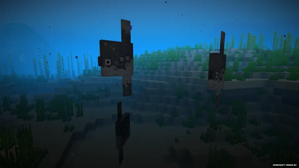 Aquafina — Minecraft mod, rasm 3