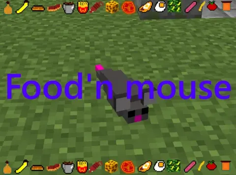 Food'n mouse