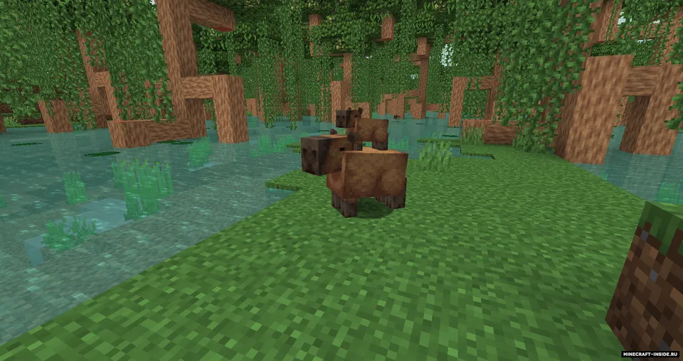 Unnamed Animal — Minecraft mod, rasm 2