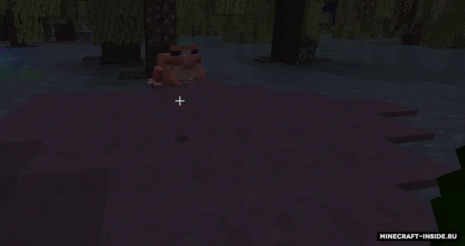 Mangrove Swamp Backport — Minecraft mod, rasm 3