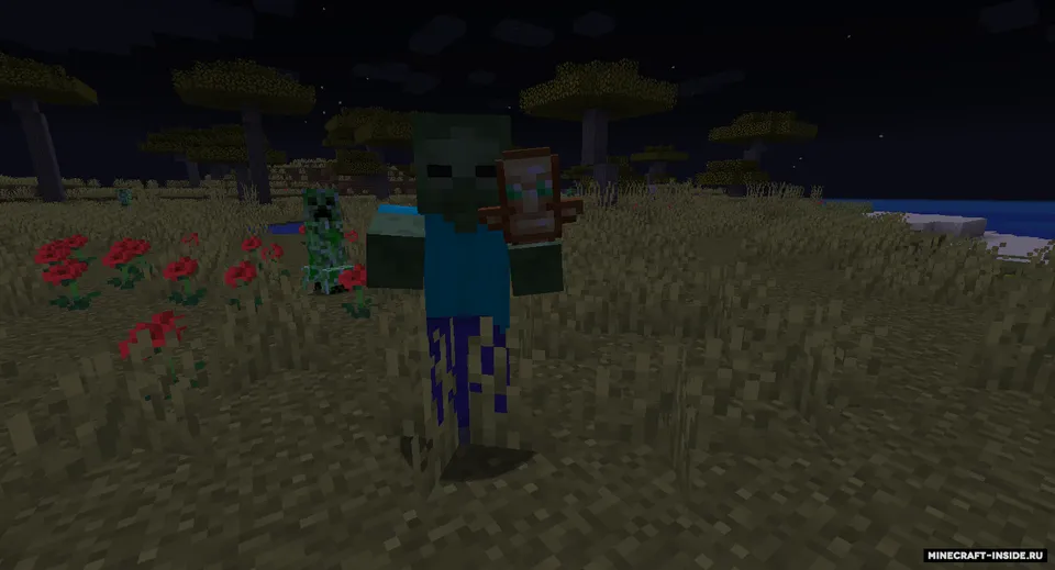 Diversity — Minecraft mod, rasm 2