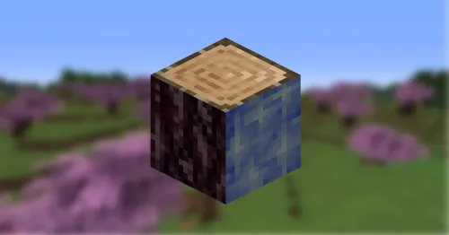 Arky's Environment — Minecraft mod, rasm 1