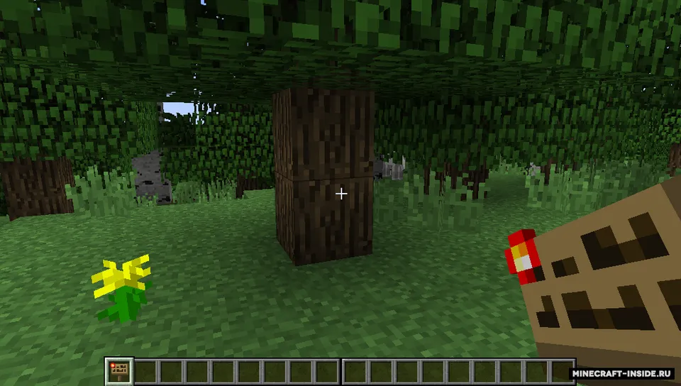 Sign Button — Minecraft mod, rasm 1