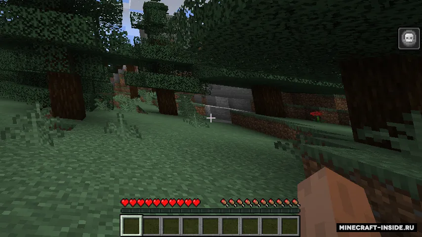 Bad to the Bone — Minecraft mod, rasm 6